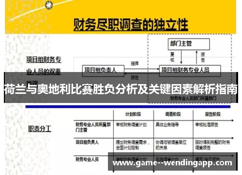 荷兰与奥地利比赛胜负分析及关键因素解析指南