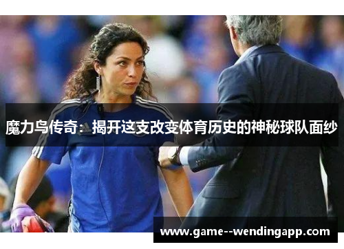 魔力鸟传奇：揭开这支改变体育历史的神秘球队面纱