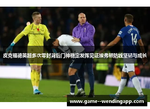皮克福德英超多次零封背后门神稳定发挥见证埃弗顿防线坚韧与成长