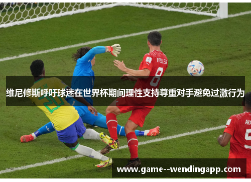 维尼修斯呼吁球迷在世界杯期间理性支持尊重对手避免过激行为